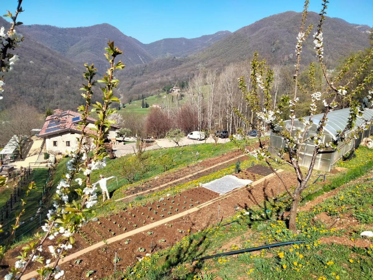 Agriturismo Ca' Fenile Alzano Lombardo ภายนอก รูปภาพ