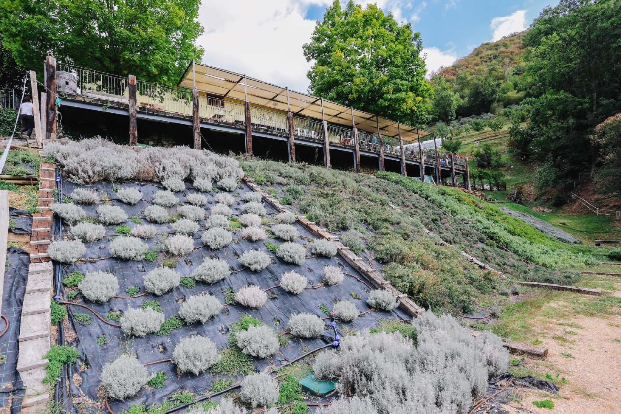 Agriturismo Ca' Fenile Alzano Lombardo ภายนอก รูปภาพ
