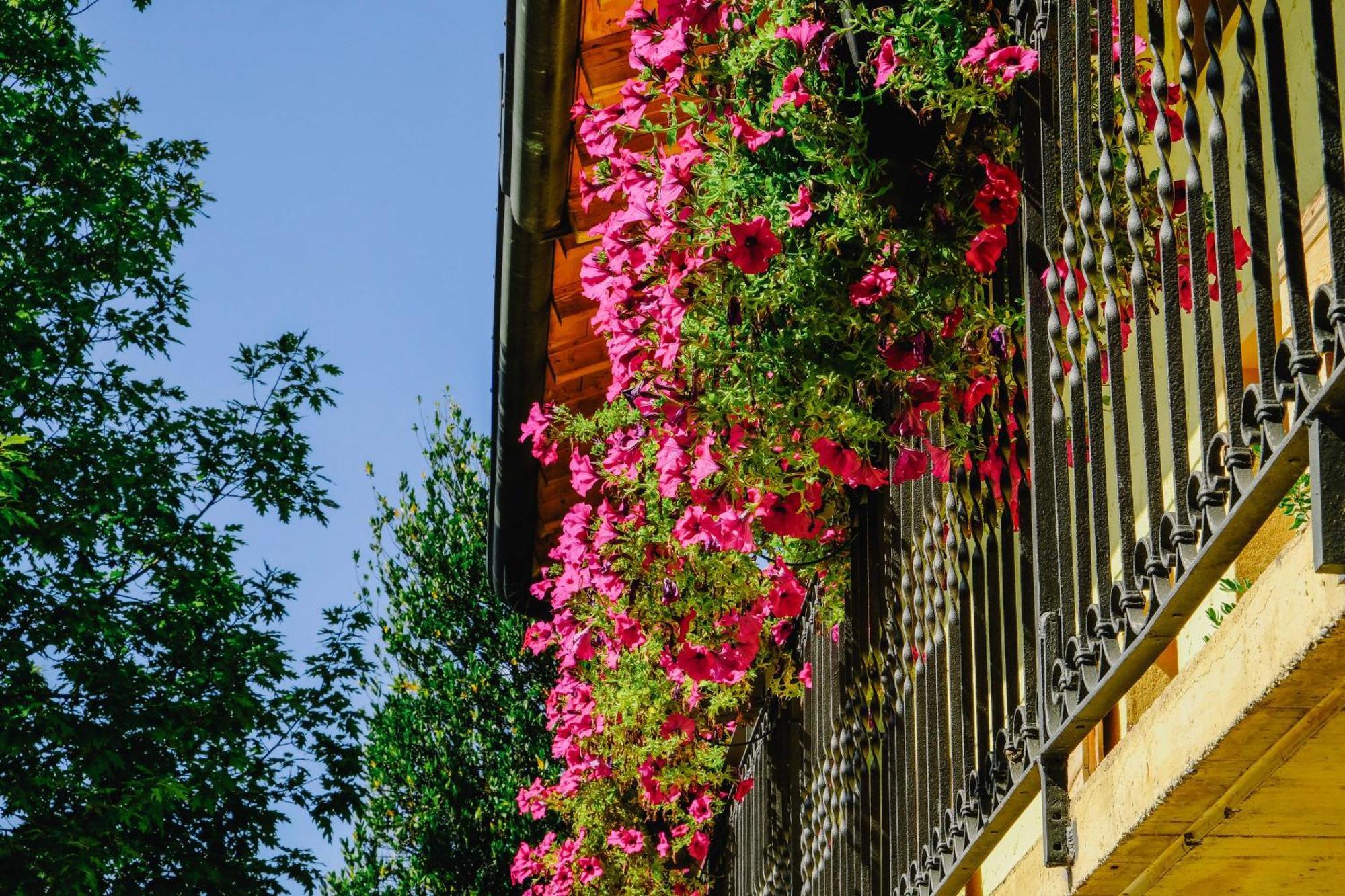Agriturismo Ca' Fenile Alzano Lombardo ภายนอก รูปภาพ